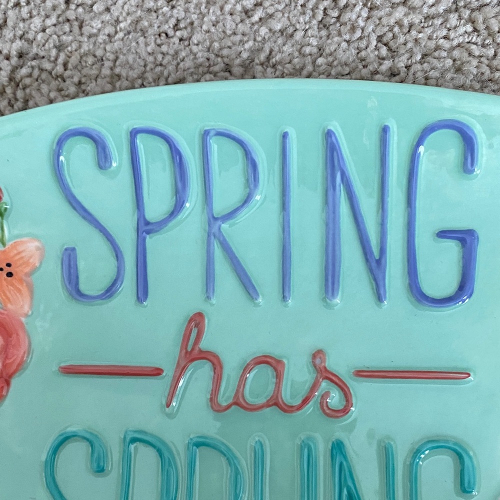 Spring Has Sprung Decorative Plate - Picture 3 of 6
